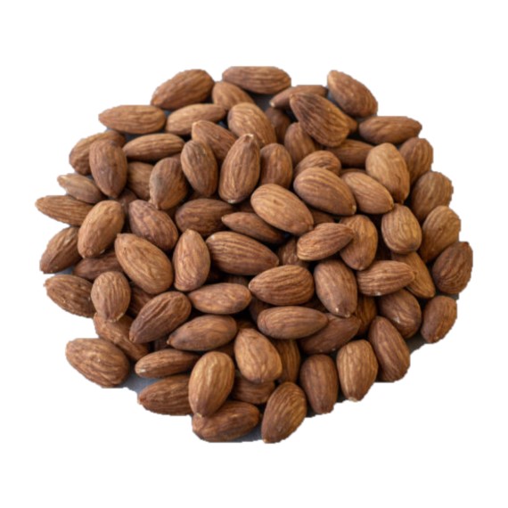 Holy Land Almonds Roasted 16 Oz