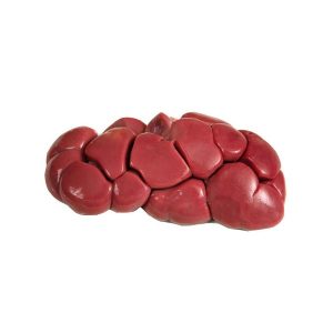 Beef Kidney - Per Lb