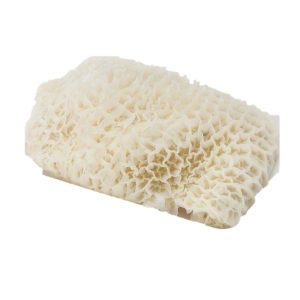beef stomach Lamb Stomach - Per Lb