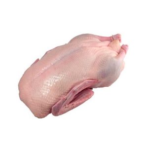 Frozen Duck - Avg Weight: 5 Lb