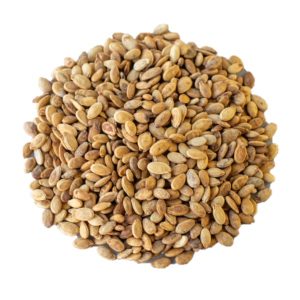 Holy Land Melon Seed Small 12 Oz