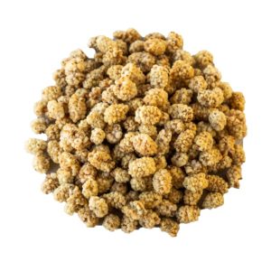 mulberries Holy Land Dry Iranian Mulberries 10 Oz