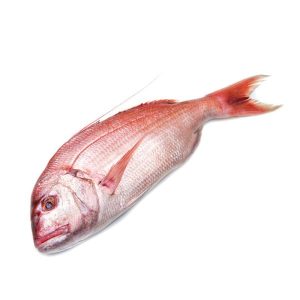 Frozen Red Snapper (Hamud) - 28-32oz